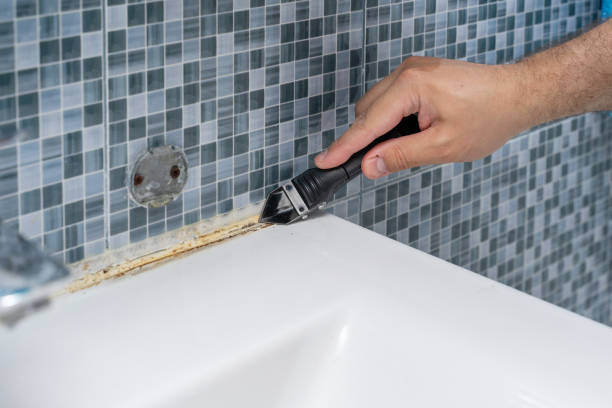 Best Residential Mold Removal  in Glenwood City, WI